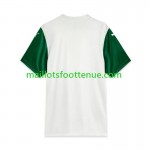 Maillot/Tenue Palmeiras Exterieur 2025